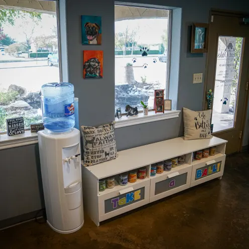 a bench and water cooler in front of the windows of Great Oaks Animal Hospital's lobby